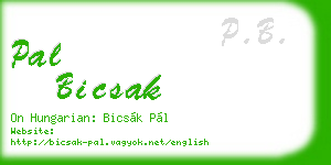 pal bicsak business card