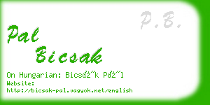 pal bicsak business card